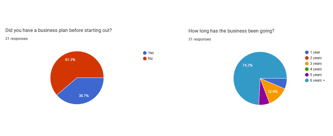Do you have a business plan? Results.