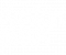 dp-logo-white